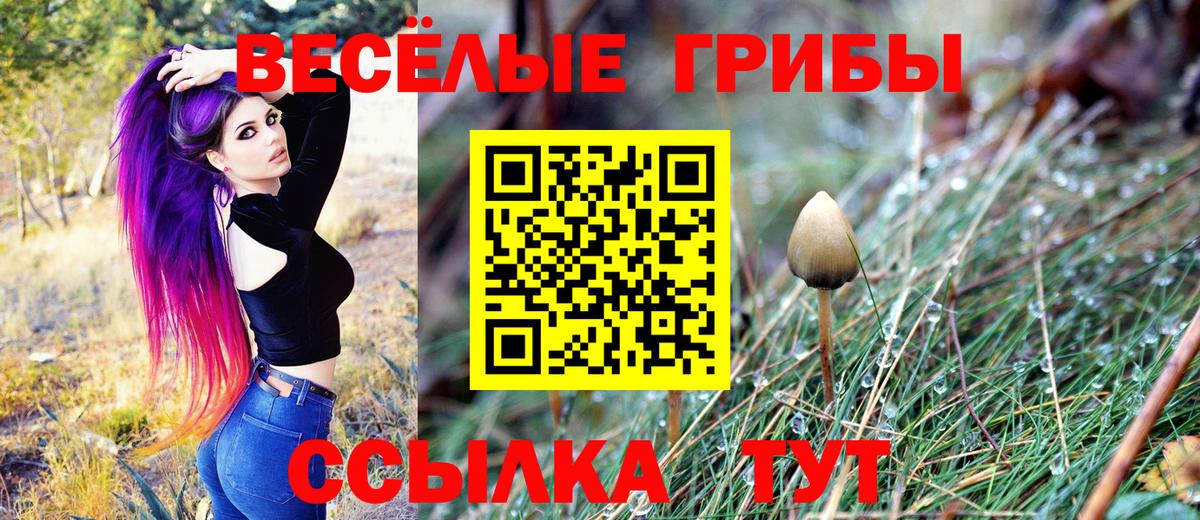 Удомля  Псилоцибиновые грибы Cubensis  сколько стоит  Вход с VPN 