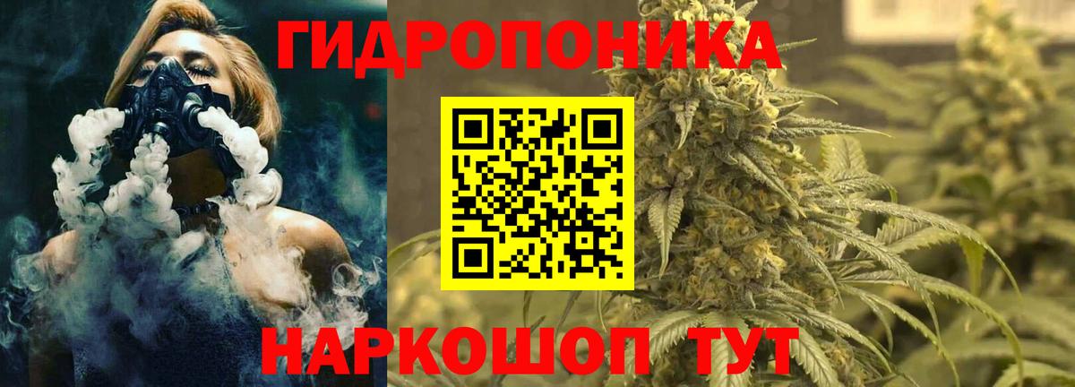 Удомля  Бошки марихуана план  Бошки марихуана Bruce Banner  Вход с VPN 